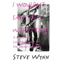 Steve Wynn I Wouldn't Say It If It Wasn't… (BOK)