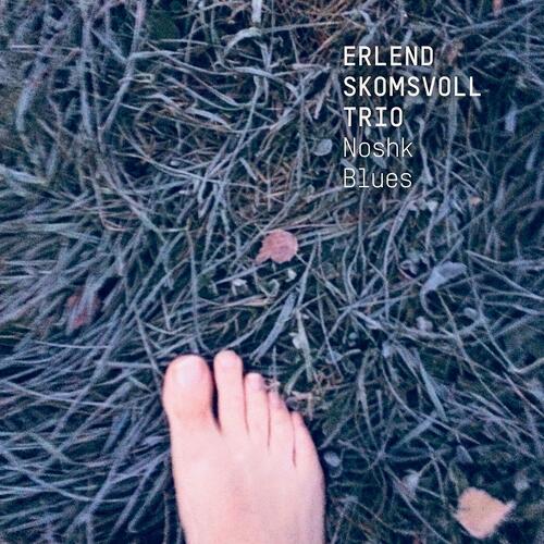Erlend Skomvoll Trio Noshk Blues (CD)
