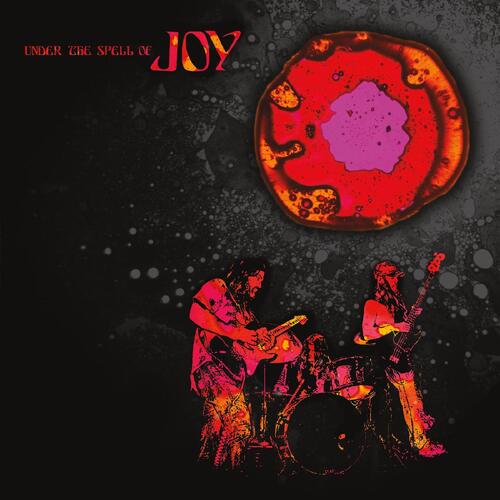 Joy Under The Spell Of Joy - LTD (LP)