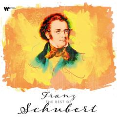 Diverse Artister The Best Of Franz Schubert (LP)