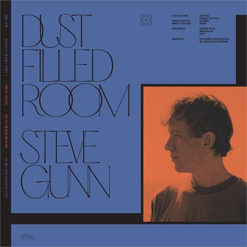Bill Fay & Steve Gunn Dust Filled Room (7")