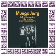 Mungo Jerry In The Summertime (12")