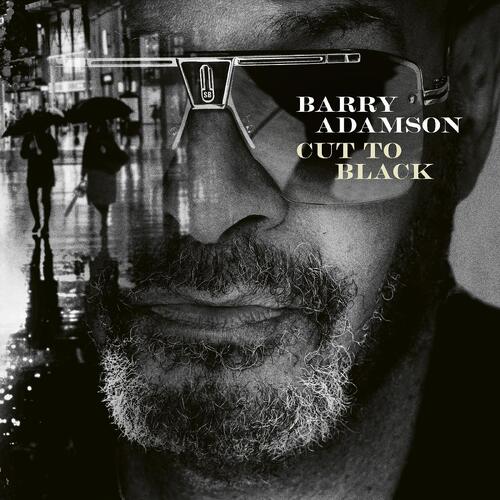 Barry Adamson Cut To Black (LP)