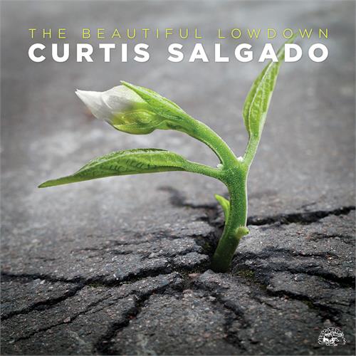 Curtis Salgado The Beautiful Lowdown (CD)