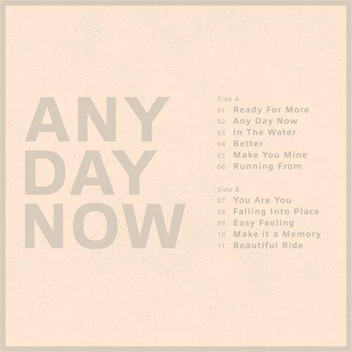 Krezip Any Day Now - LTD (LP)