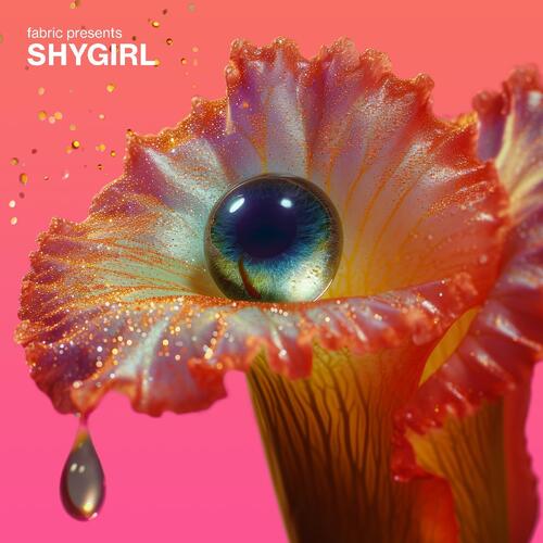 Shygirl Fabric Presents Shygirl (CD)