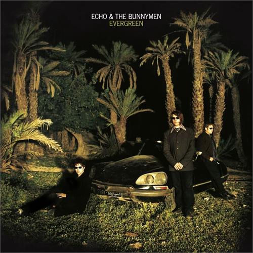 Echo & The Bunnymen Evergreen - LTD (LP)
