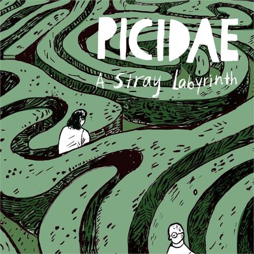 Picidae A Stray Labyrinth (LP)