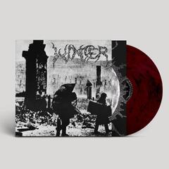 Winter Into Darkness - LTD (LP)