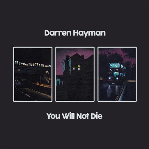Darren Hayman You Will Not Die (2LP)