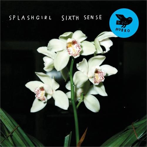 Splashgirl Sixth Sense (CD)