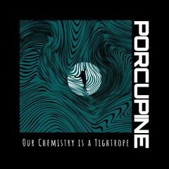 Porcupine Our Chemistry Is A Tightrope (LP)