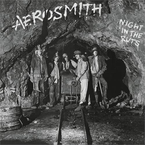 Aerosmith Night In The Ruts (LP)