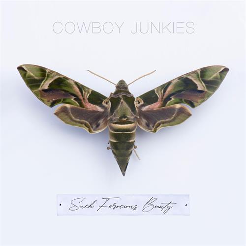 Cowboy Junkies Such Ferocious Beauty (CD)