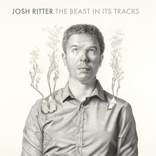 Kim Richey Beast In Its Tracks (CD)