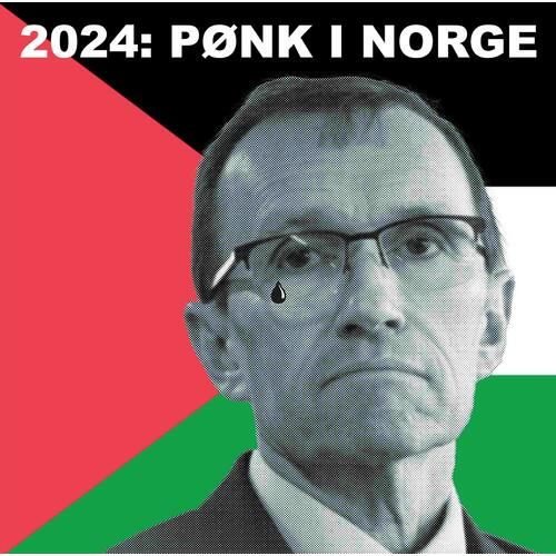Diverse Artister 2024: Pønk I Norge - LTD (LP)