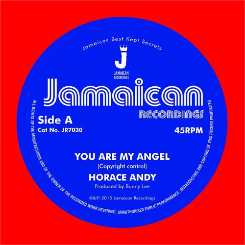 Horace Andy You Are My Angel/Version (7")