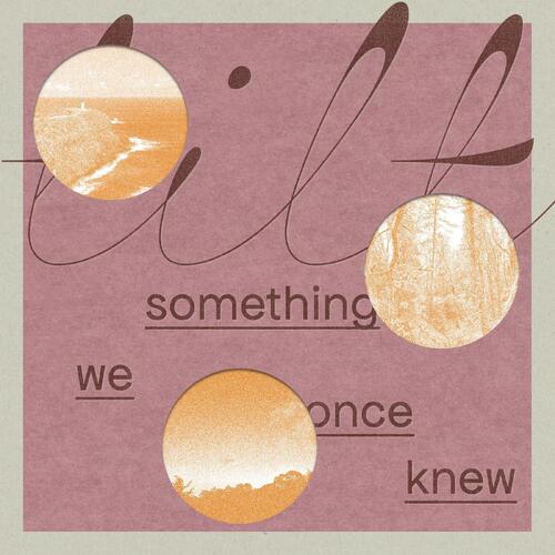 Tilt Something We Once Knew (LP)