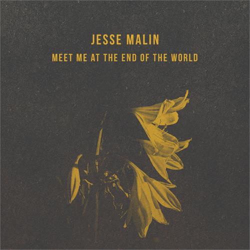 Jesse Malin Meet Me At The End Of The World (LP)
