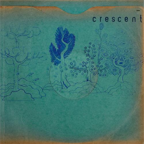 Crescent Resin Pockets (LP)