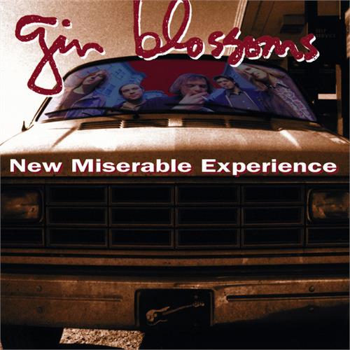 Gin Blossoms New Miserable Experience (LP)