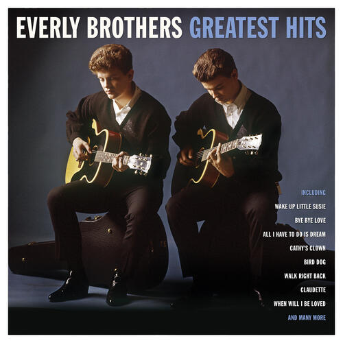The Everly Brothers Greatest Hits (LP)