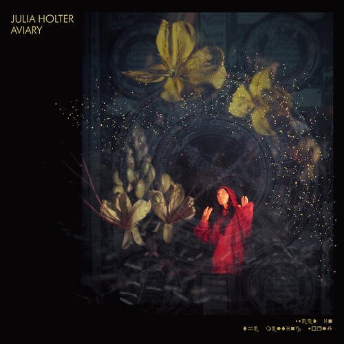 Julia Holter Aviary - LTD (LP)