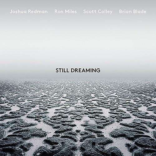 Joshua Redman Still Dreaming (LP)