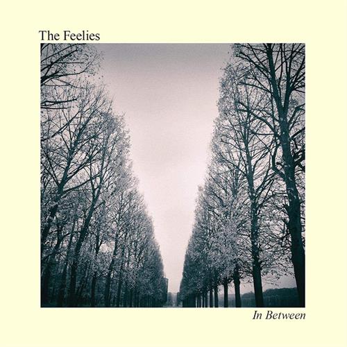 The Feelies In Between (LP)