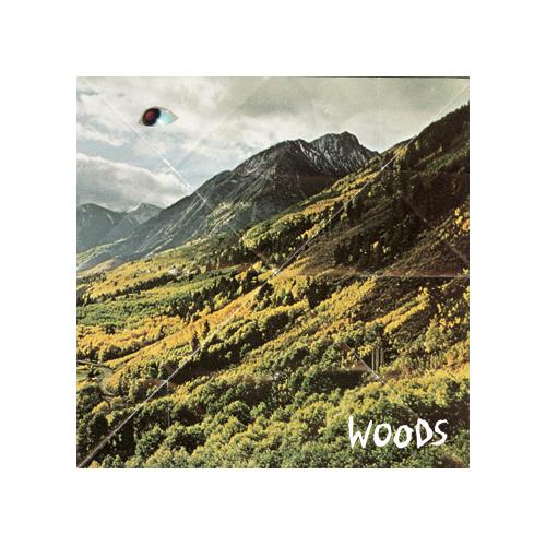 Woods Songs Of Shame (LP)