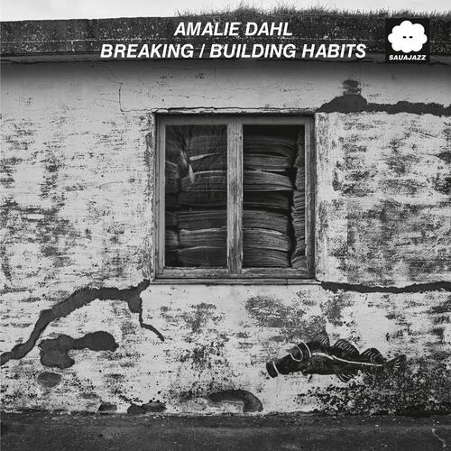 Amalie Dahl Breaking/Building Habits (LP) 