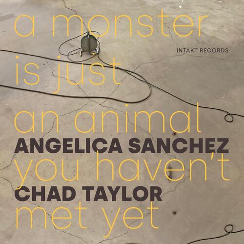 Angelica Sanchez & Chad Taylor A Monster Is Just An Animal You… (CD)