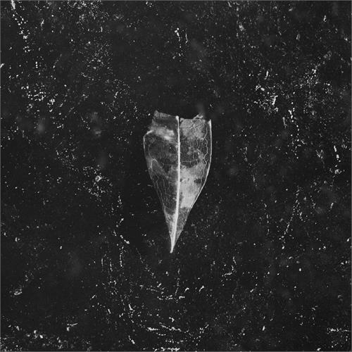 Bees Made Honey In The Vein Tree Aion (CD) 