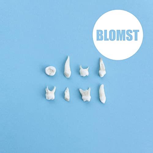 Blomst Blomst (CD)