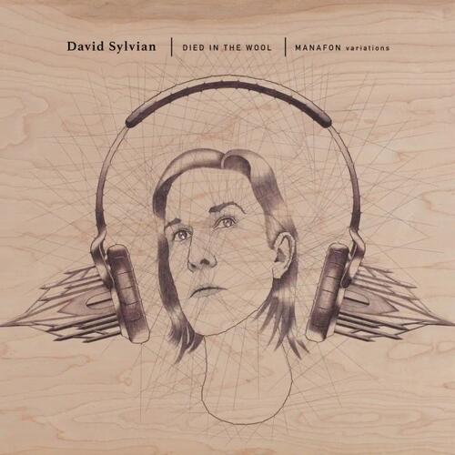 David Sylvian Died In The Wool - Manafon… (2LP) 