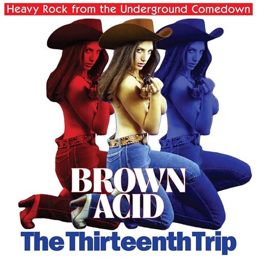 Diverse Artister Brown Acid - The Thirteenth Trip (LP)