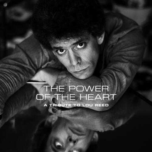 Diverse Artister The Power Of The Heart (LP) 