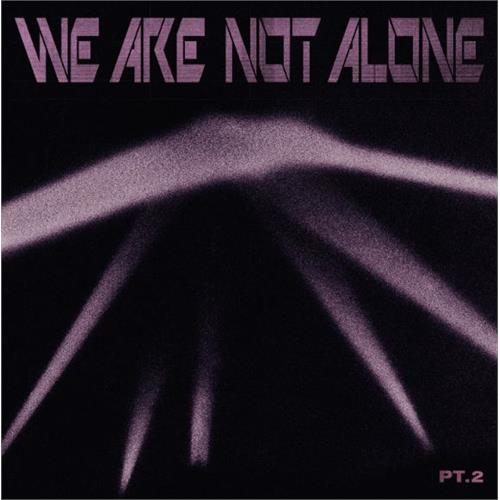 Diverse Artister We Are Not Alone - Part 2 (2LP)