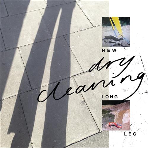 Dry Cleaning New Long Leg (CD)