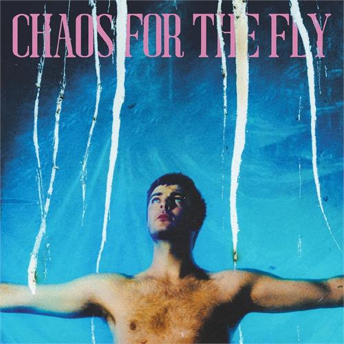 Grian Chatten Chaos For The Fly (LP)