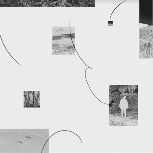 Hinako Omori A Journey… - LTD (LP)