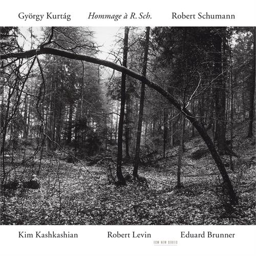Kim Kashkashian/Robert Levin/Brunner Hommage À R. Sch. (CD)
