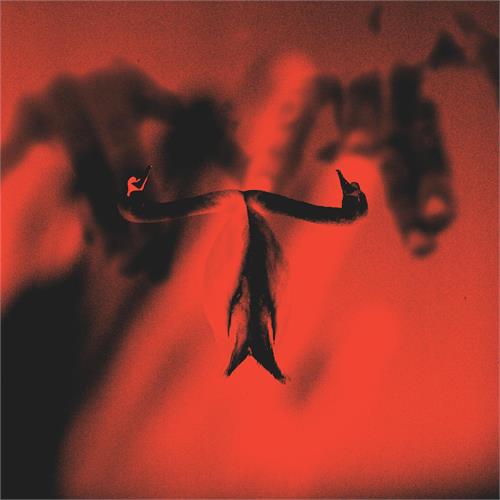 Maxim Mental Make Team Presents Maxim Mental… (CD) 