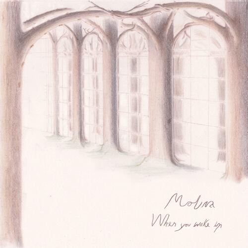 Molina When You Wake Up - LTD (LP) 