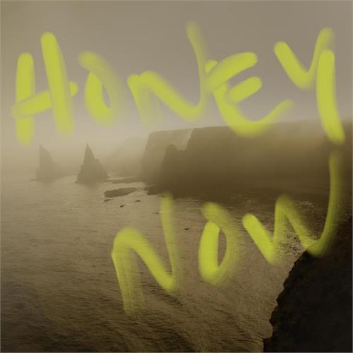 Neon Waltz Honey Now (CD) 