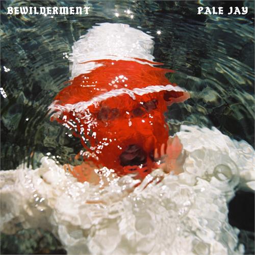 Pale Jay Bewilderment (LP)