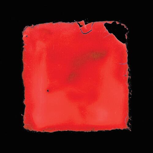 Salvia Palth Last Chance To See (2LP) 