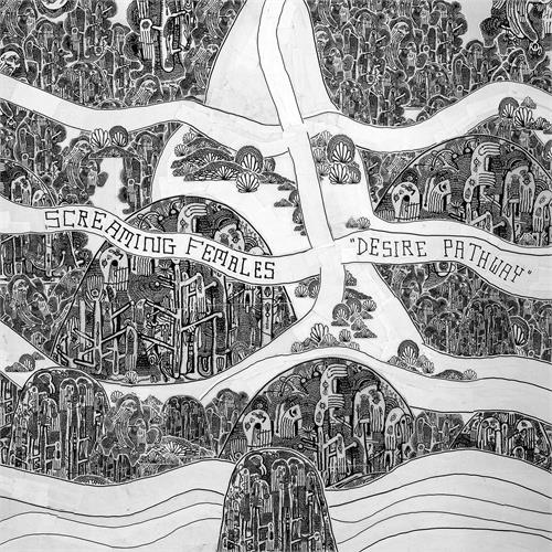 Screaming Females Desire Pathway (CD) 