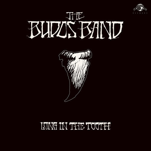 The Budos Band Long In The Tooth (CD) 
