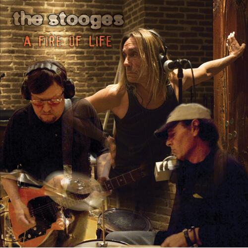 The Stooges A Fire Of Life (2LP) 